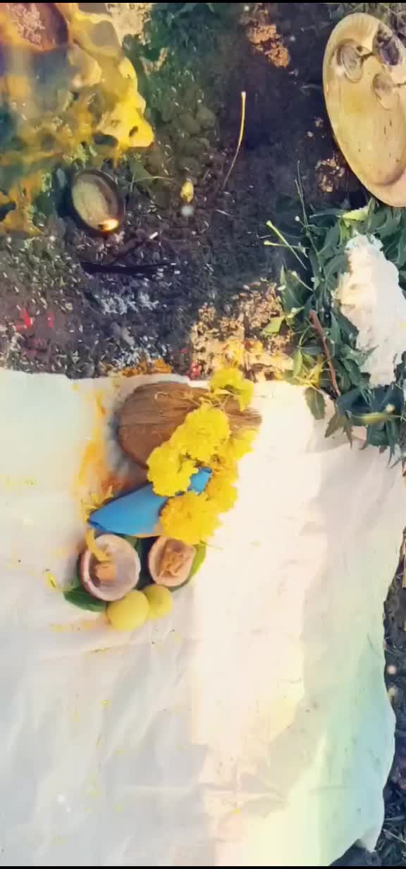 @vijayvijju 5626