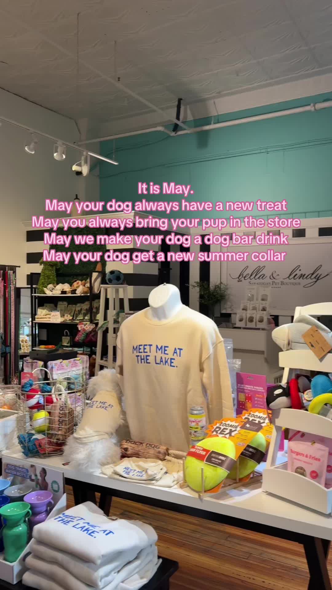 @Bella & Lindy Pet Boutique