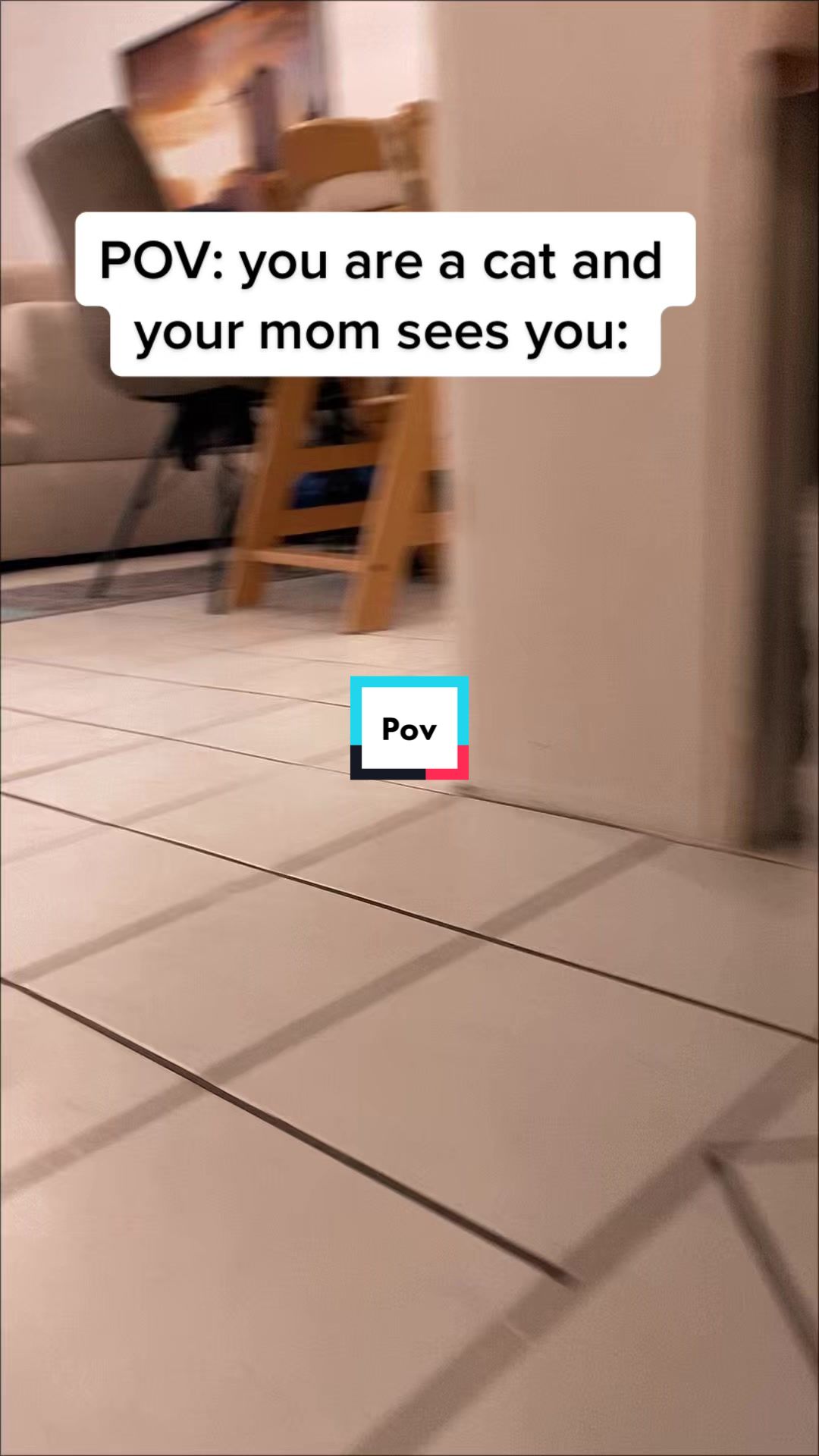 @Fibi & Bobo