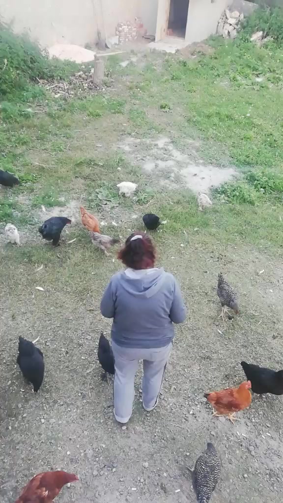 @Alimerdan Cansu Sevik
