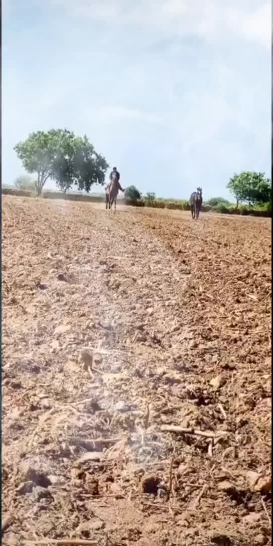 @GJ_37_ no💪Aayar