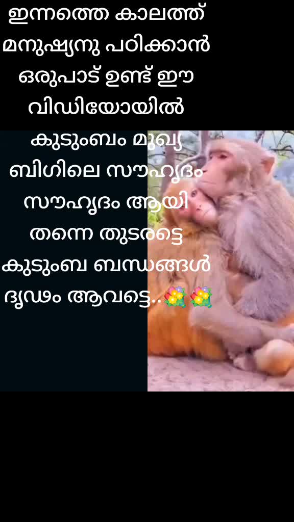 @Hari HaraN