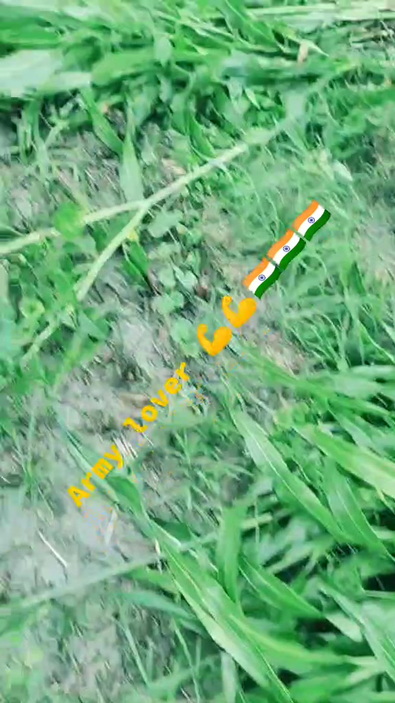 @Sunny Yadav