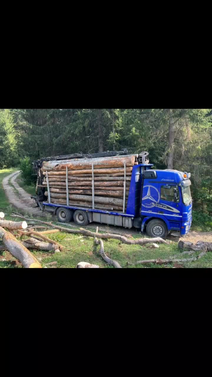 @🌲VRANIĆ🌲