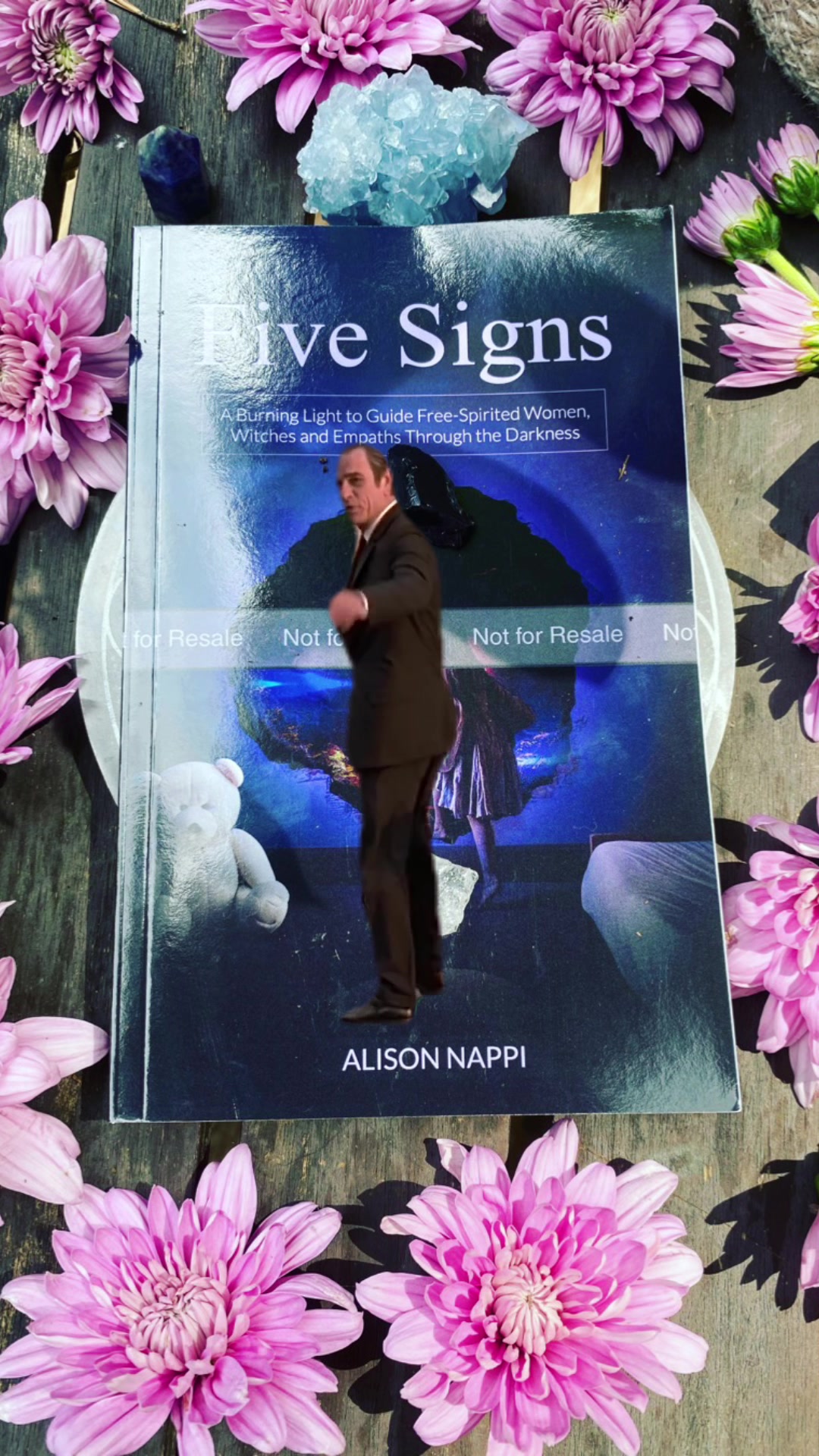 @Alison Nappi Author