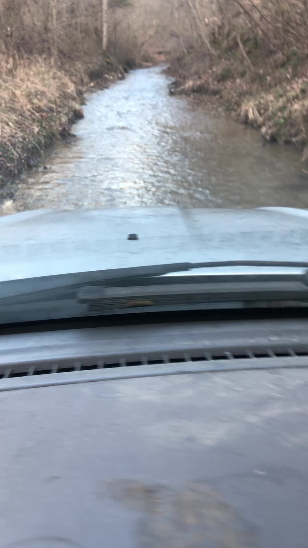 @leewallace943. Lee