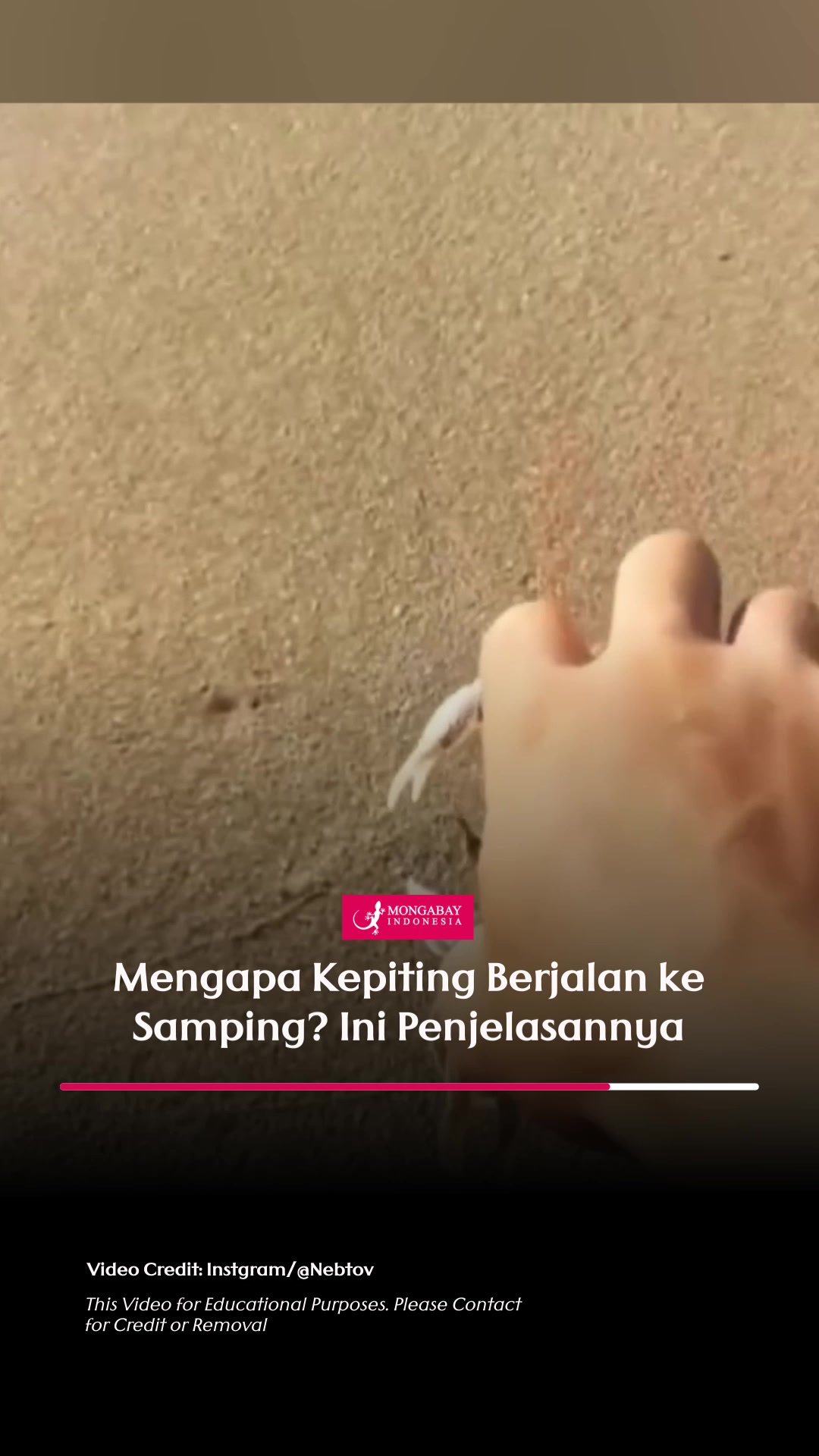 @mongabayindonesia