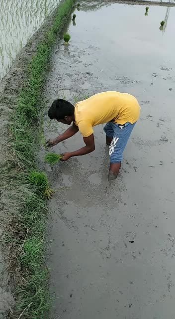 @MungilipattuGovinda