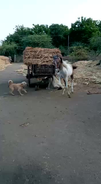 @vishal_aapa_7775