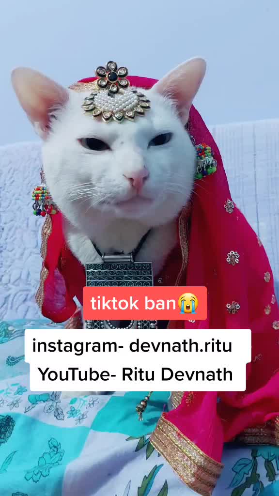 @Ritu devnath