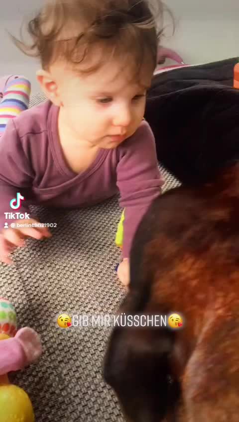@Chris ❤️Tyson&Jola😍😎