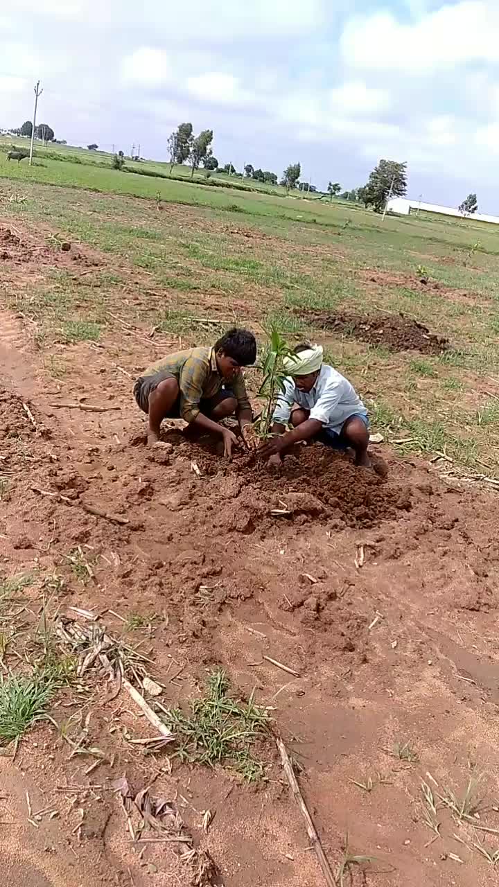 @user1119298562207