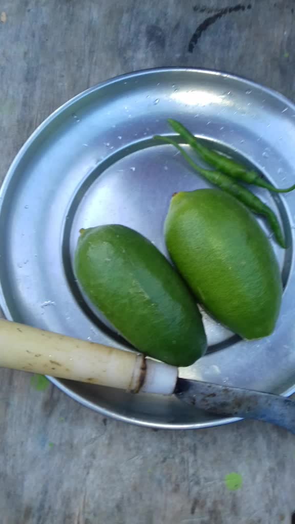 @dhirashreekalita2018