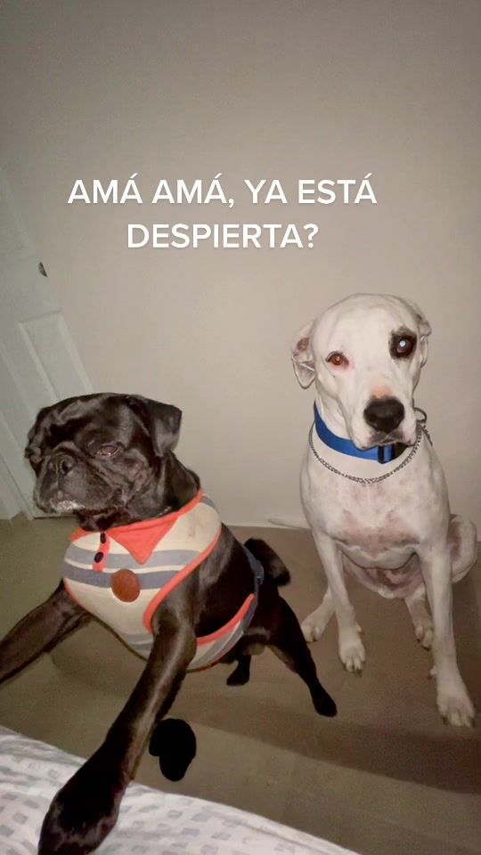@Marianna Medina