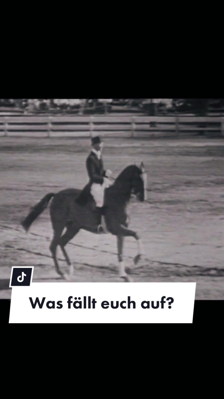 @reiten_ist_kunst