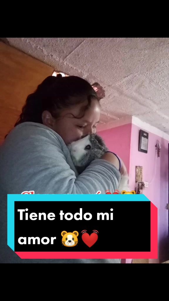 @elrat&oacute;n