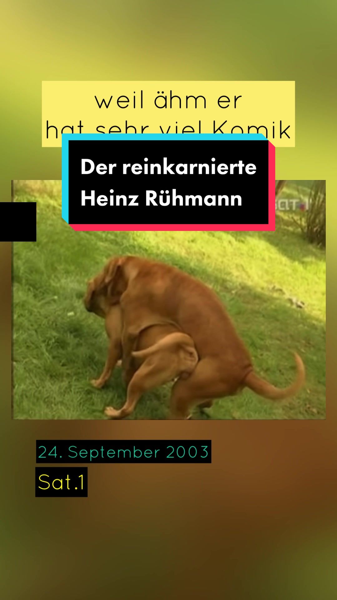 @mittagsprogramm