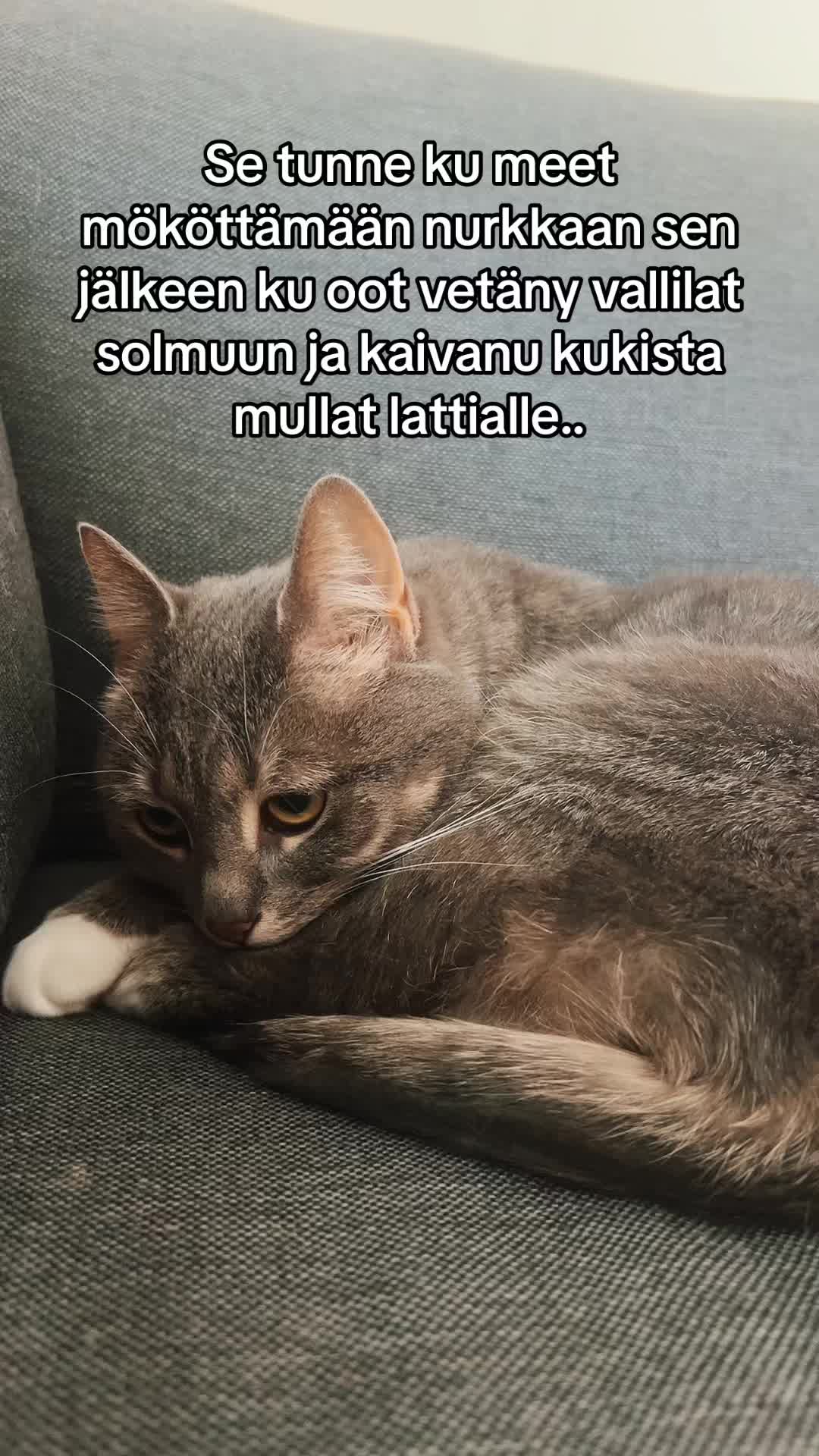 @mmawika