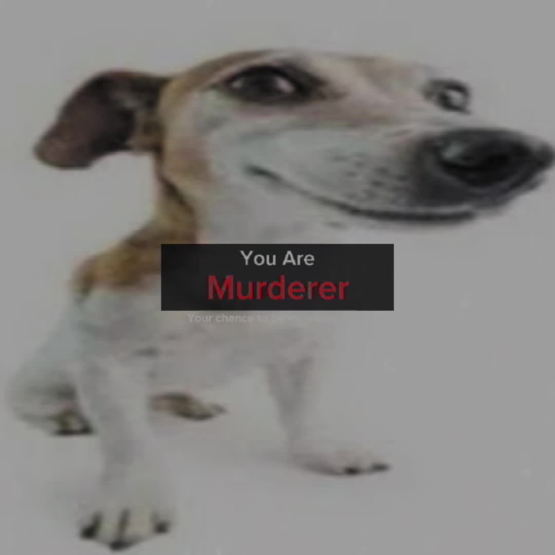 @Hi everybody