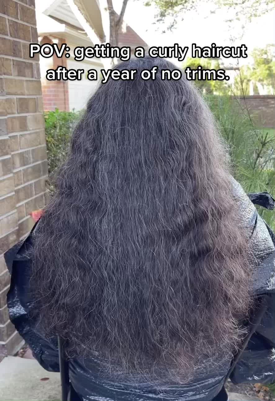 @curlganix