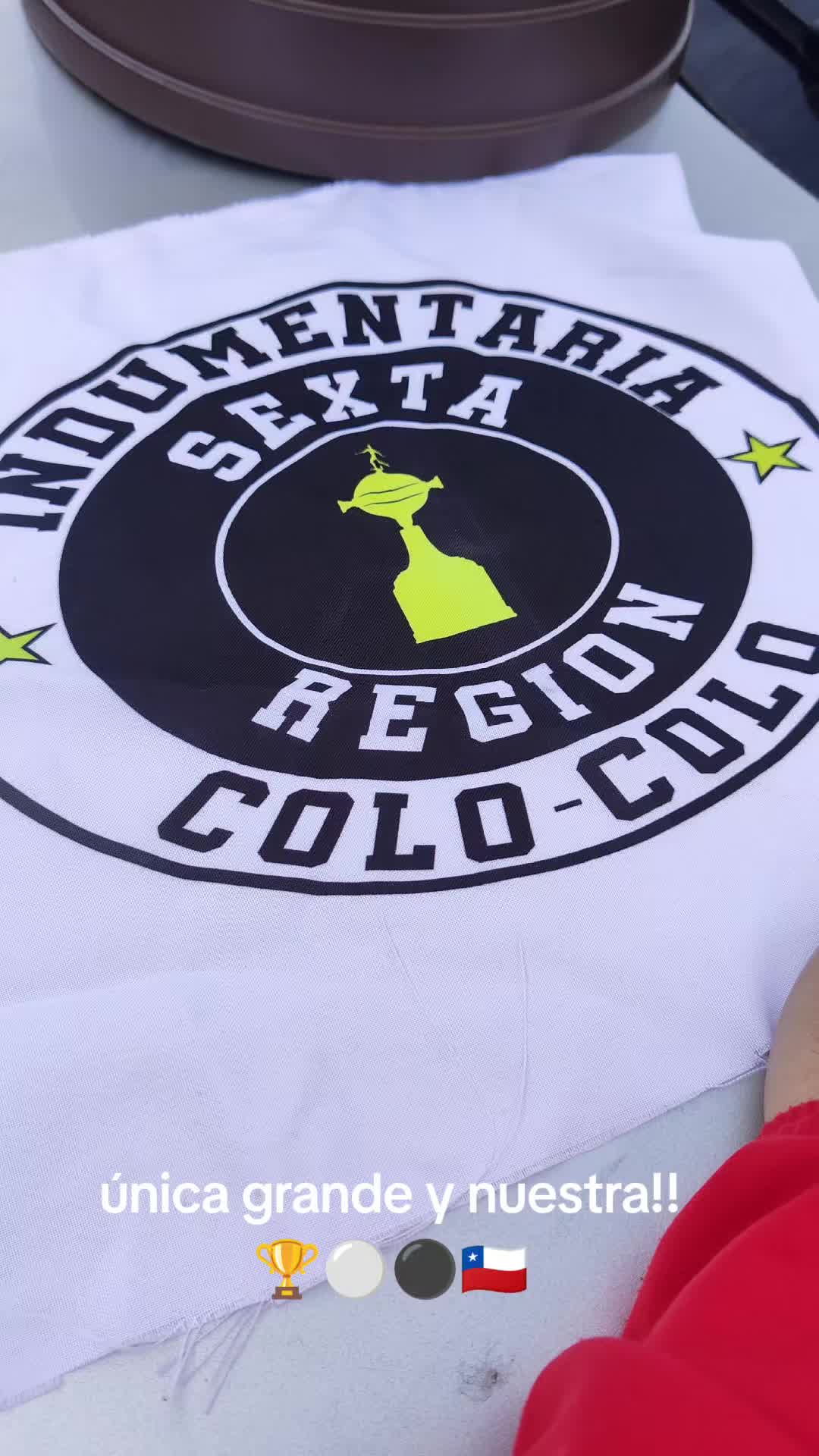 @indumentaria_colocolo_6