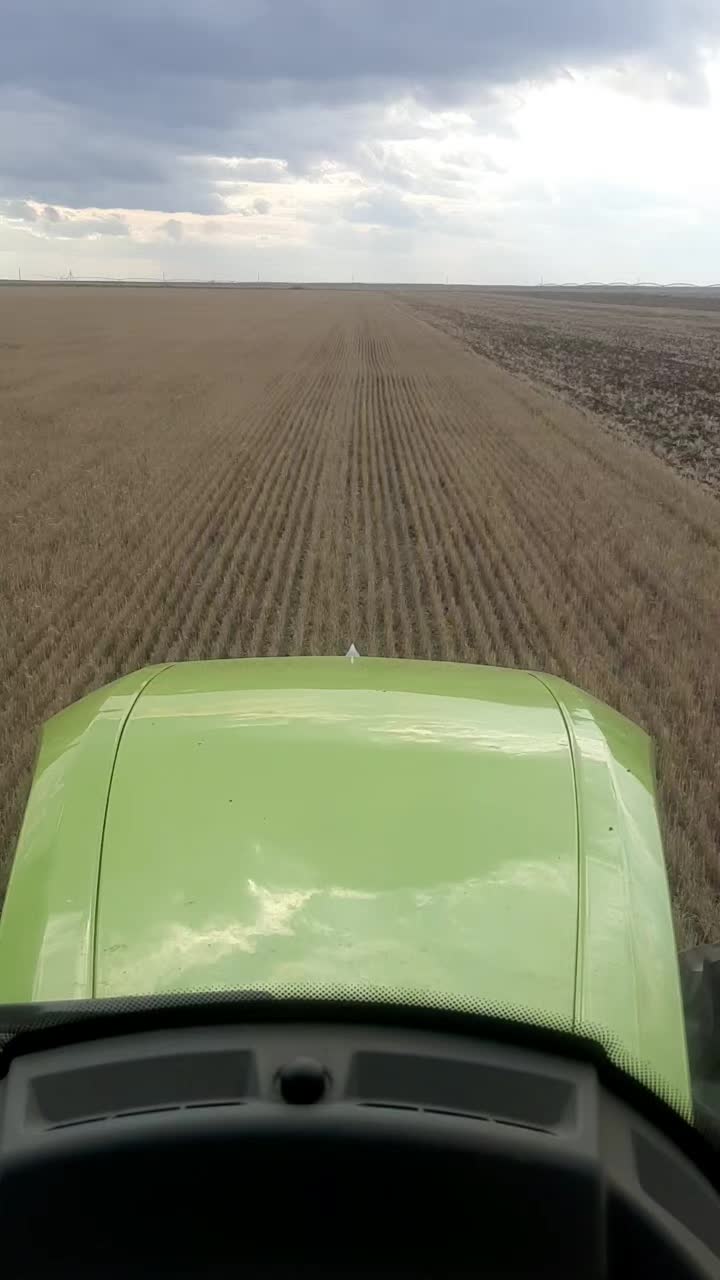 @Олег Гаврилов