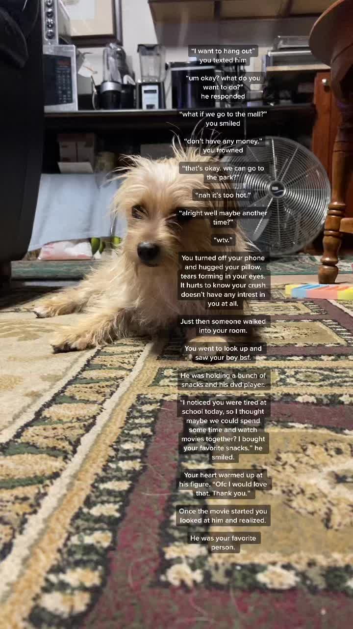 @don’t spam pls <3