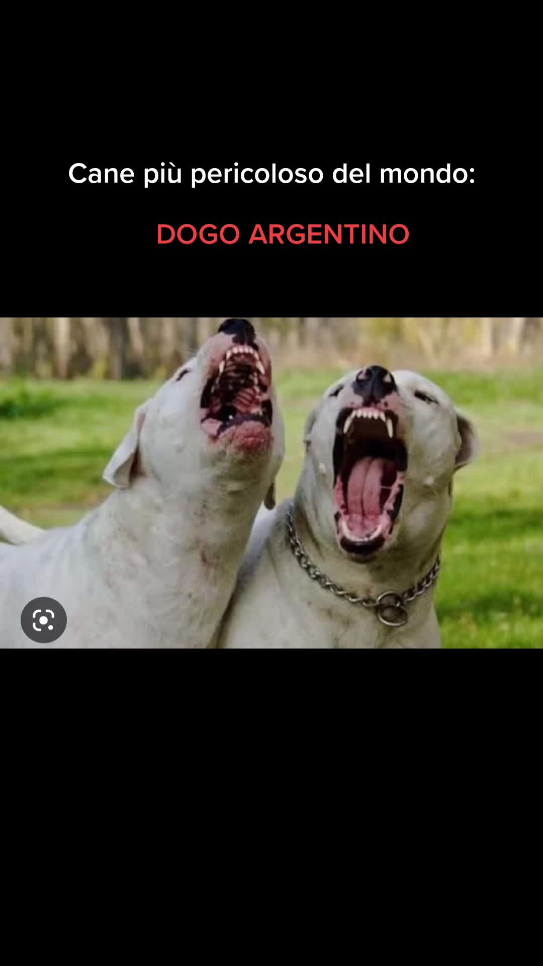 @Gaiaceciar