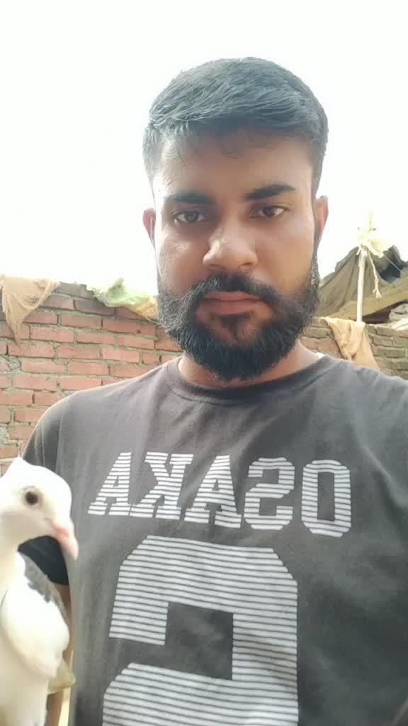 @Sahjad Ansari