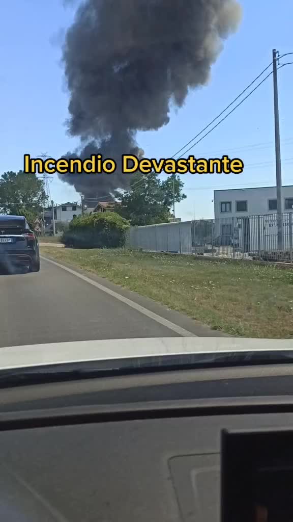 @TheLeo&LeoReal