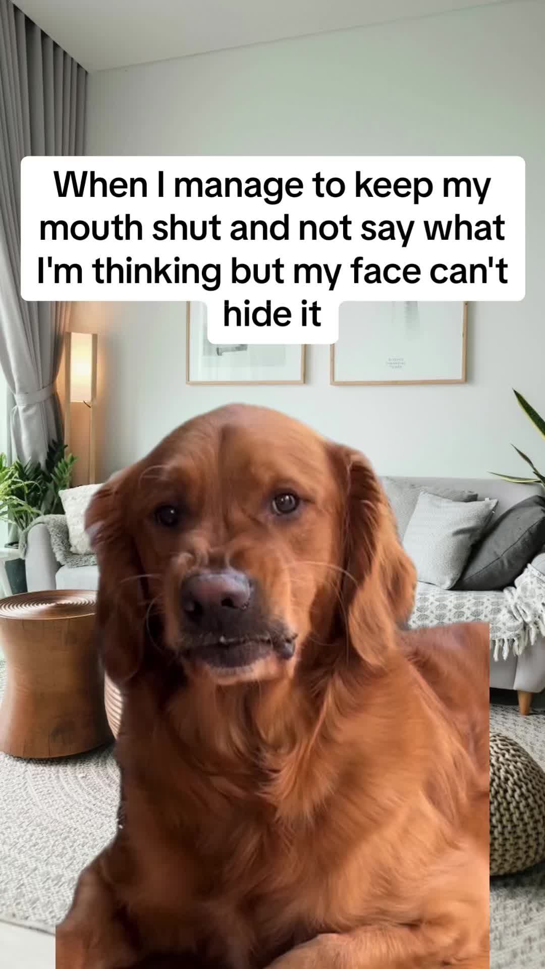@ashleyT