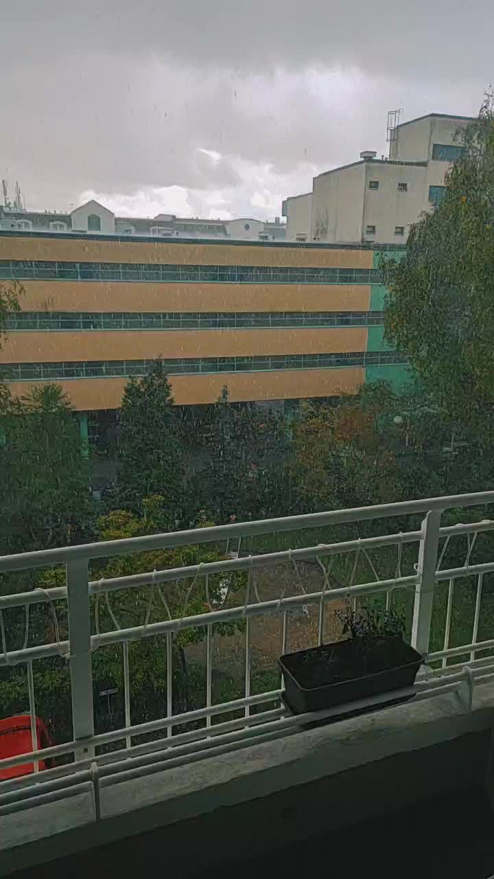@Lisi