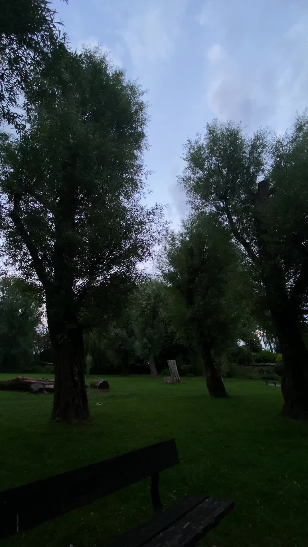 @*