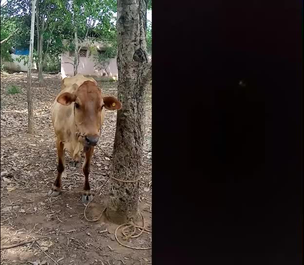 @Naveen Kumar 1234