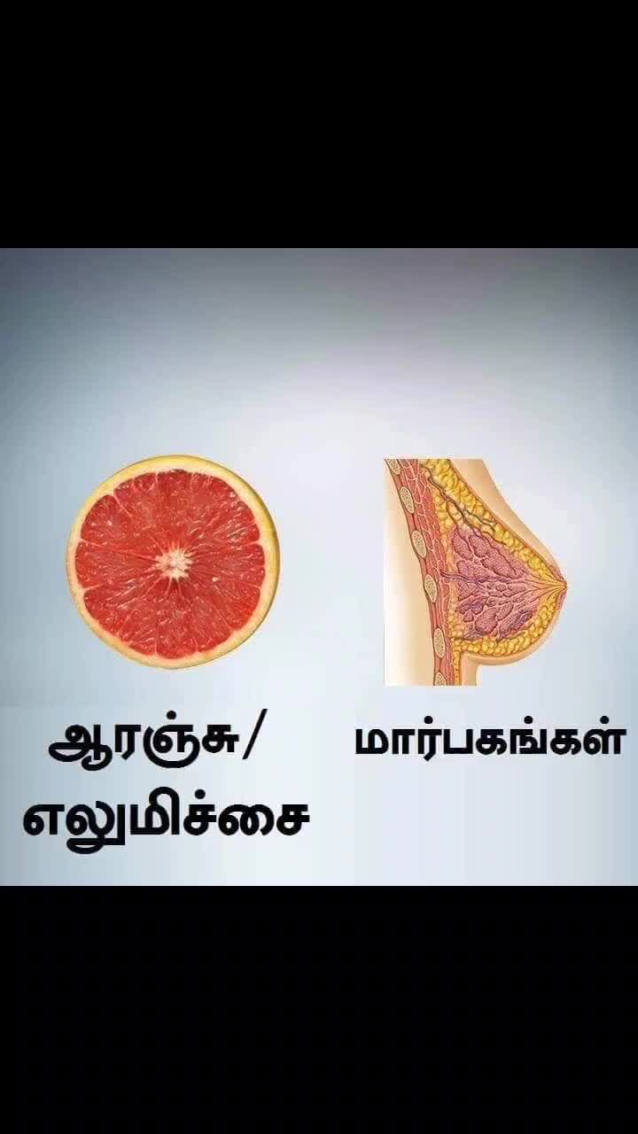 @Shamini