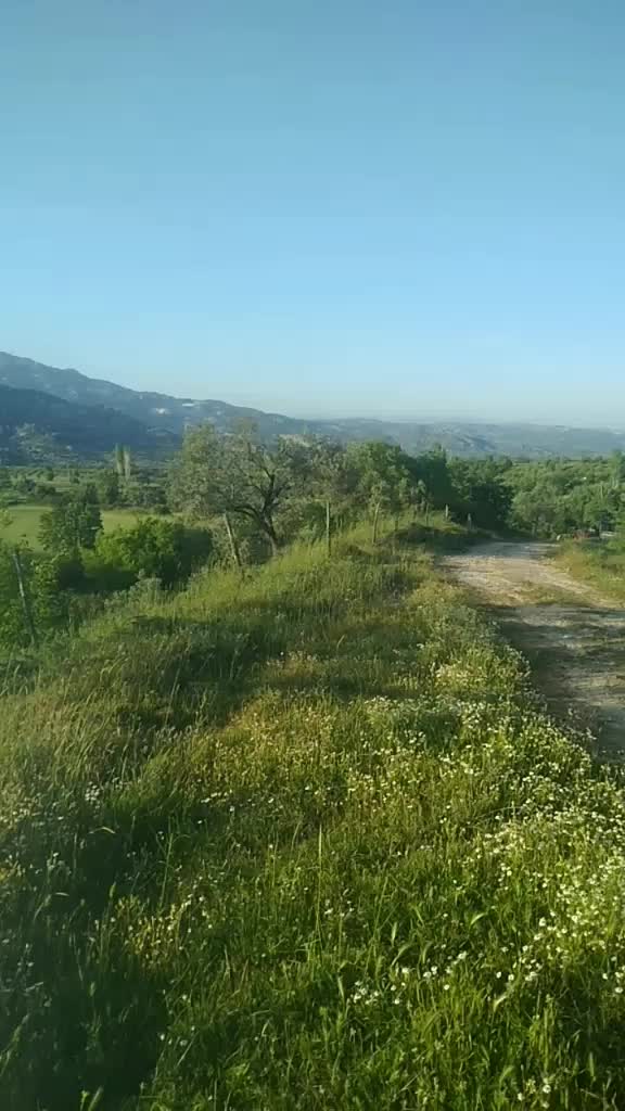 @Saffet Can yıldız
