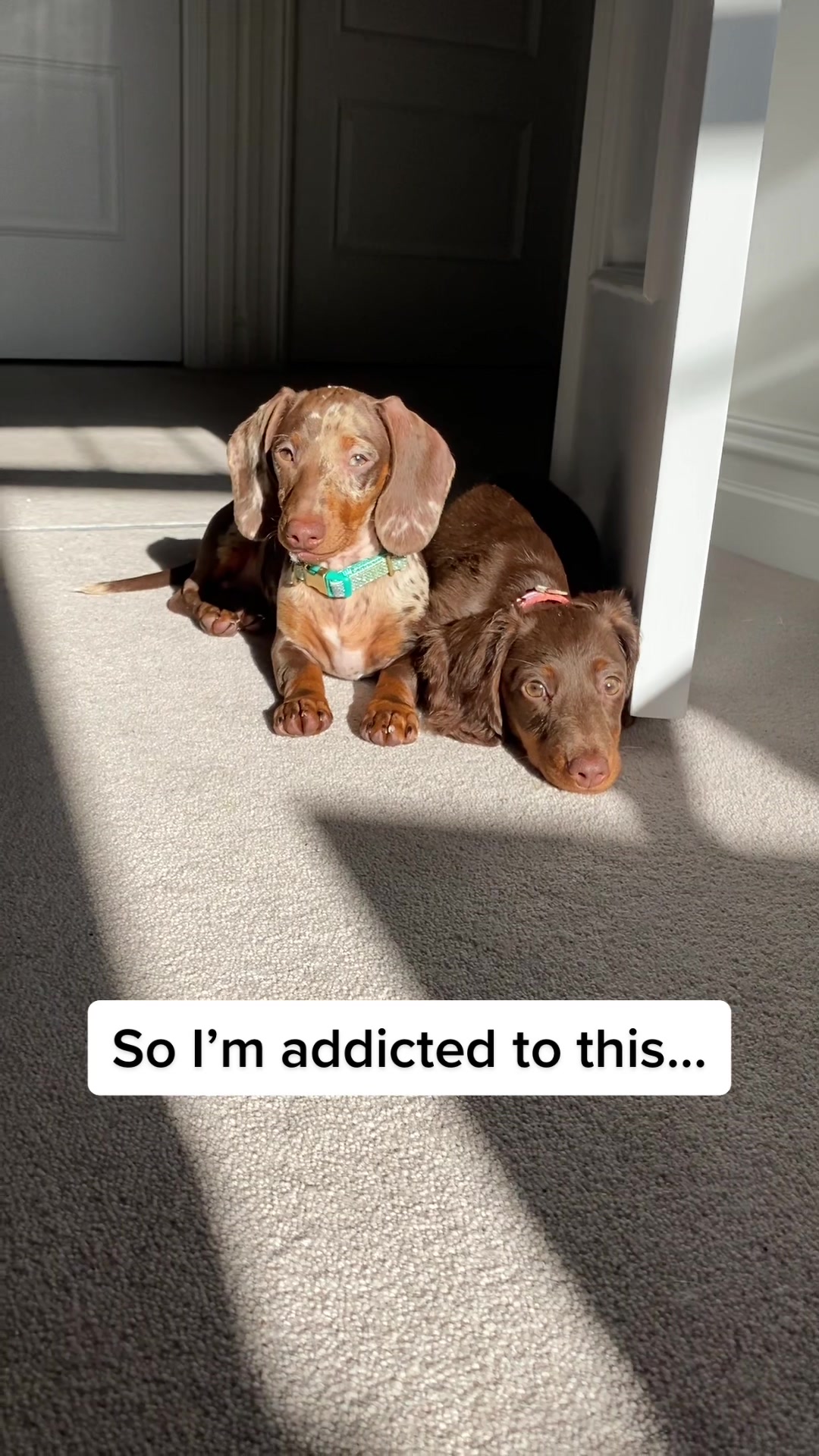 @billieandblu