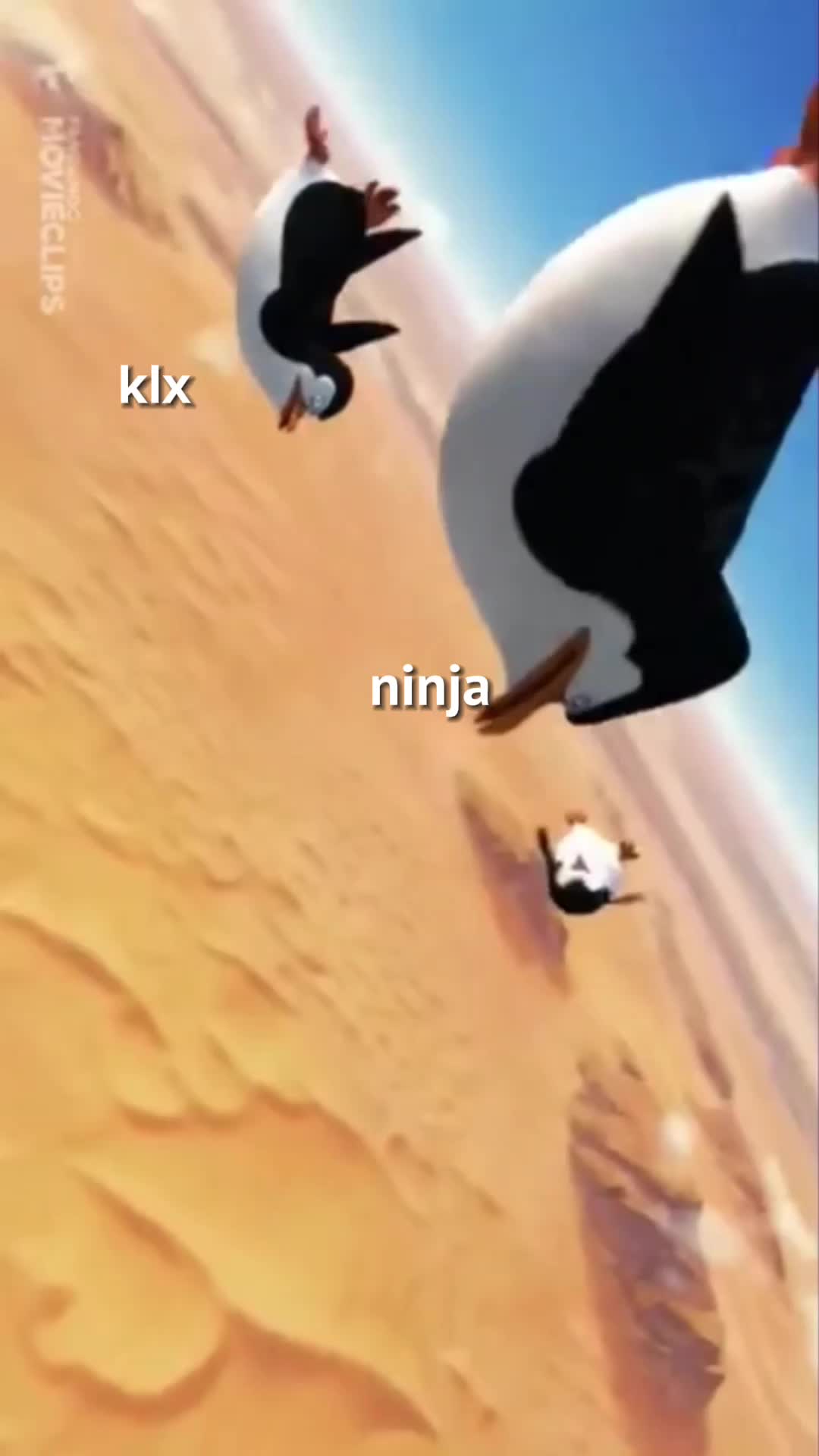 @sttwjjyyyyyyyy