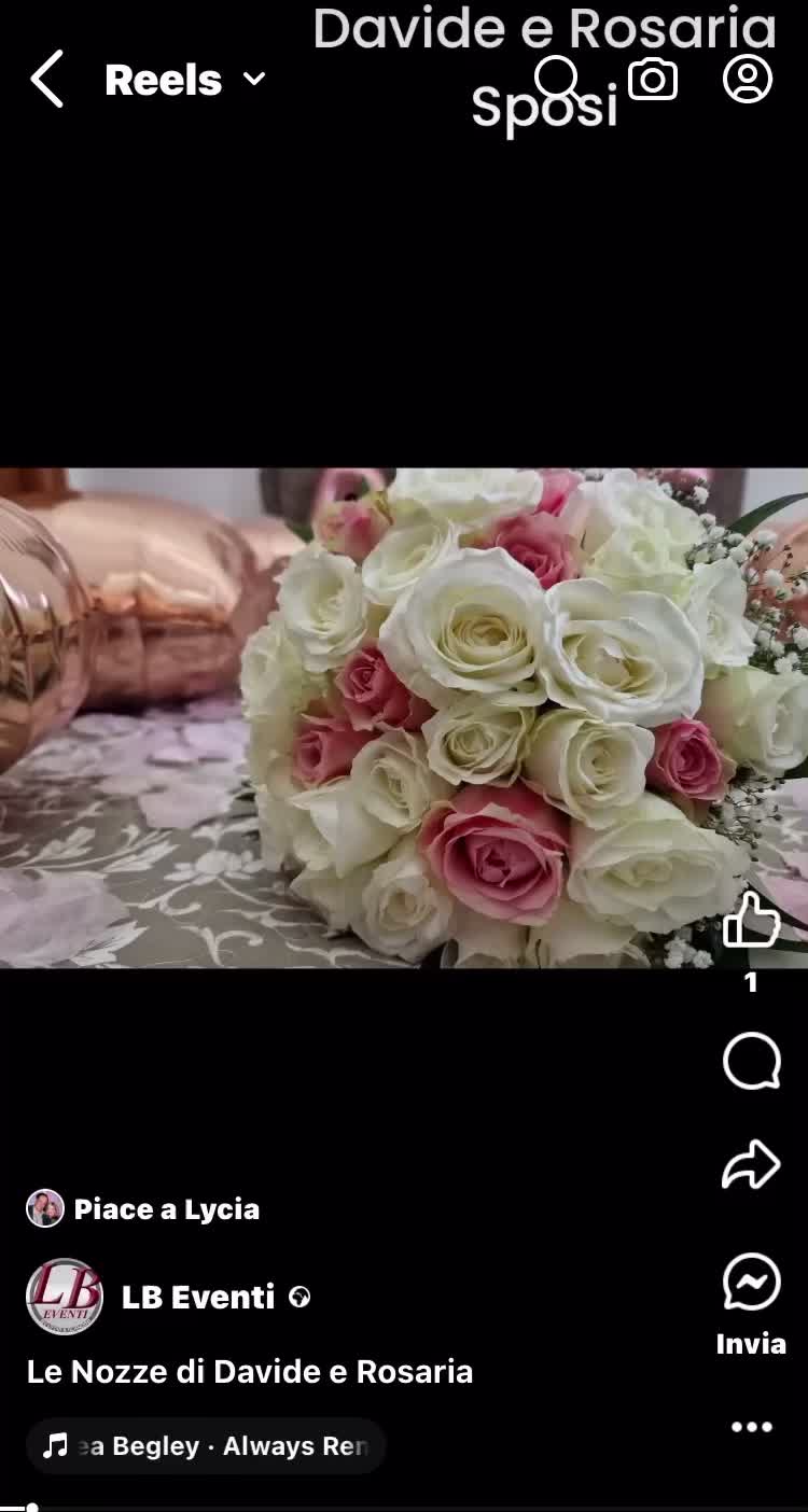 @Rosaria🦋💎🌻👑🌹