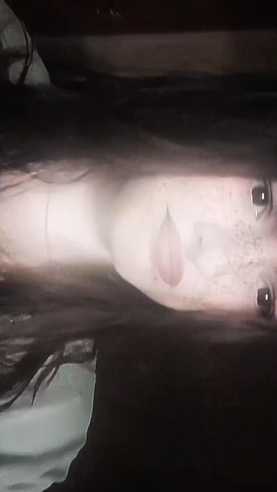 @Оля