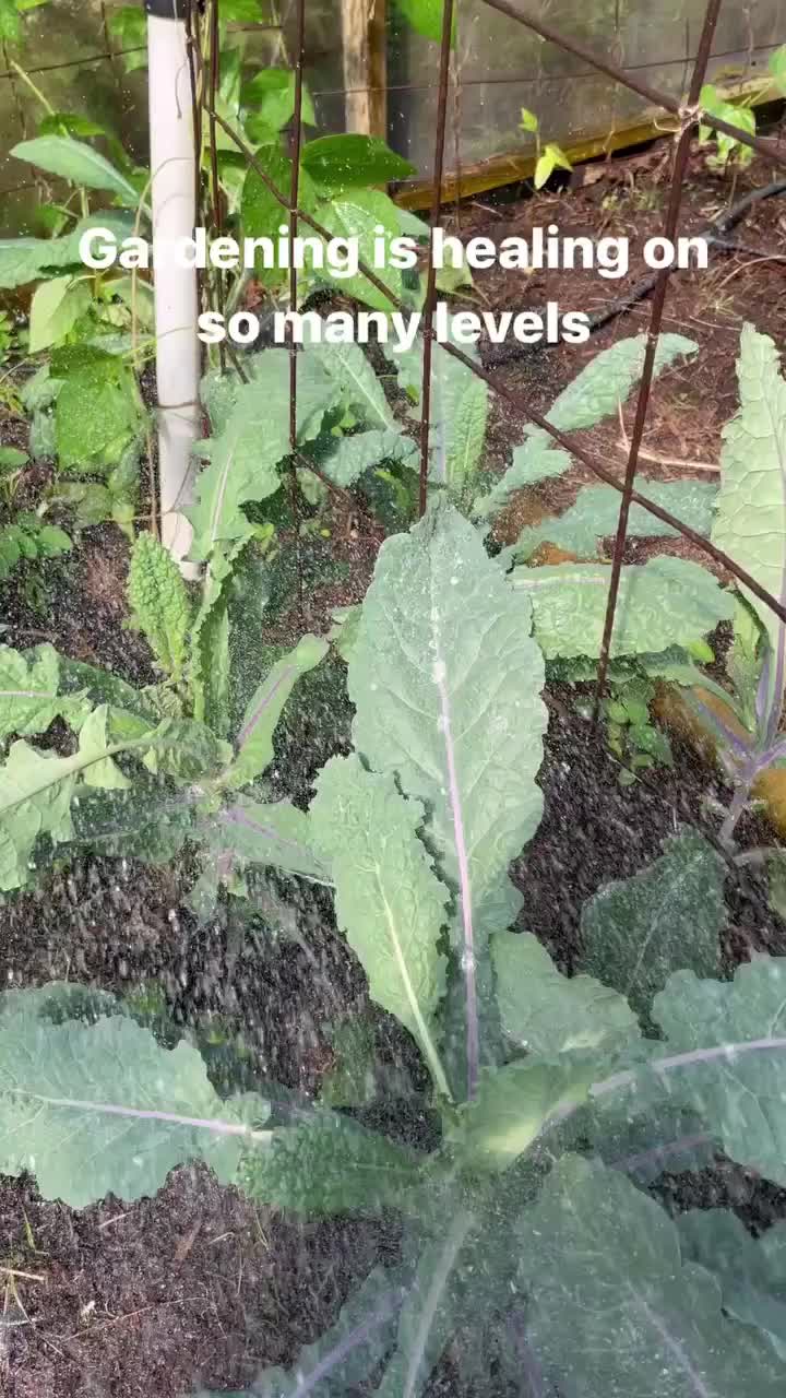 @kumuainafarms