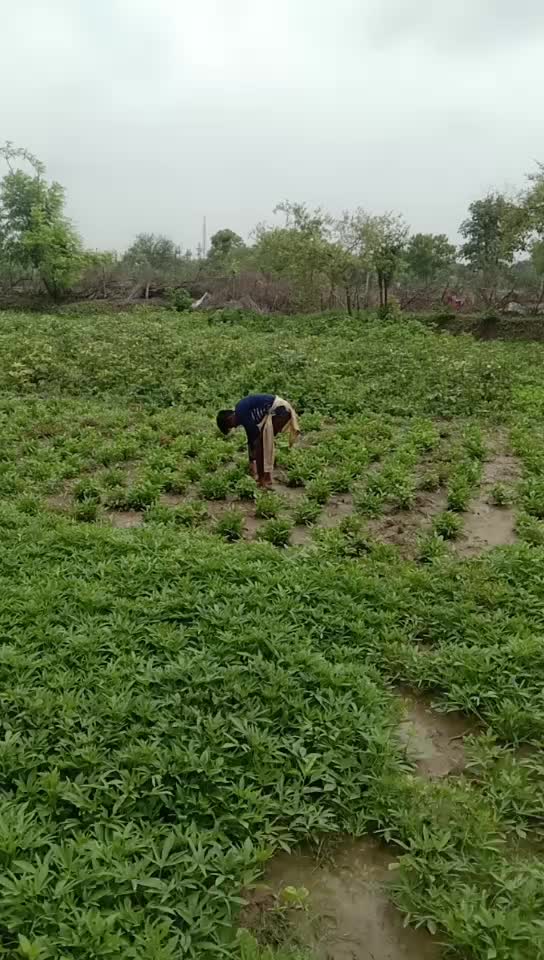 @Mukesh Nishad