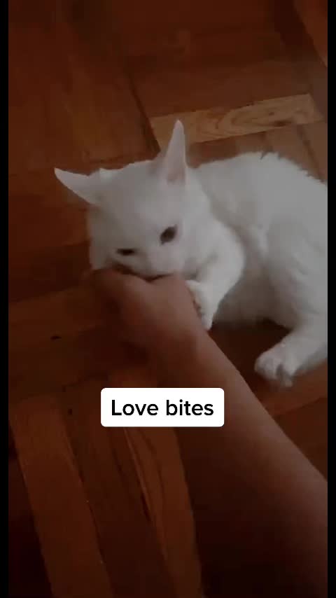 @Dr_Juice