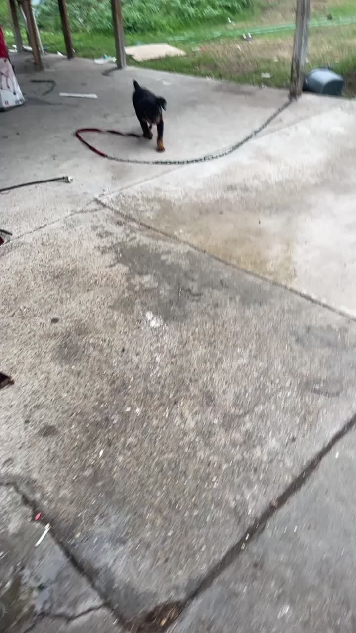 @Oscarpeña