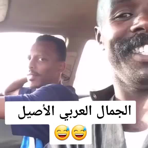 @salma mehdawi