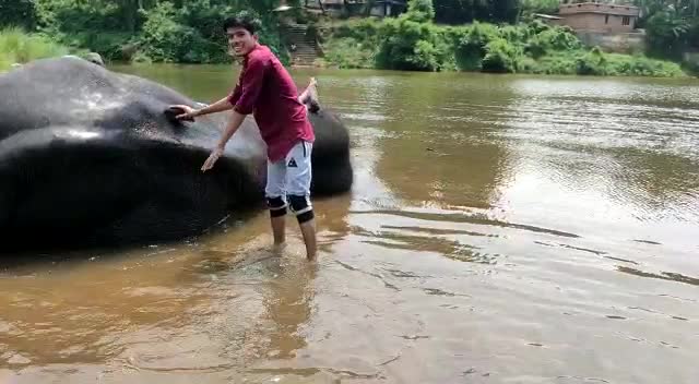 @Vaisakh M