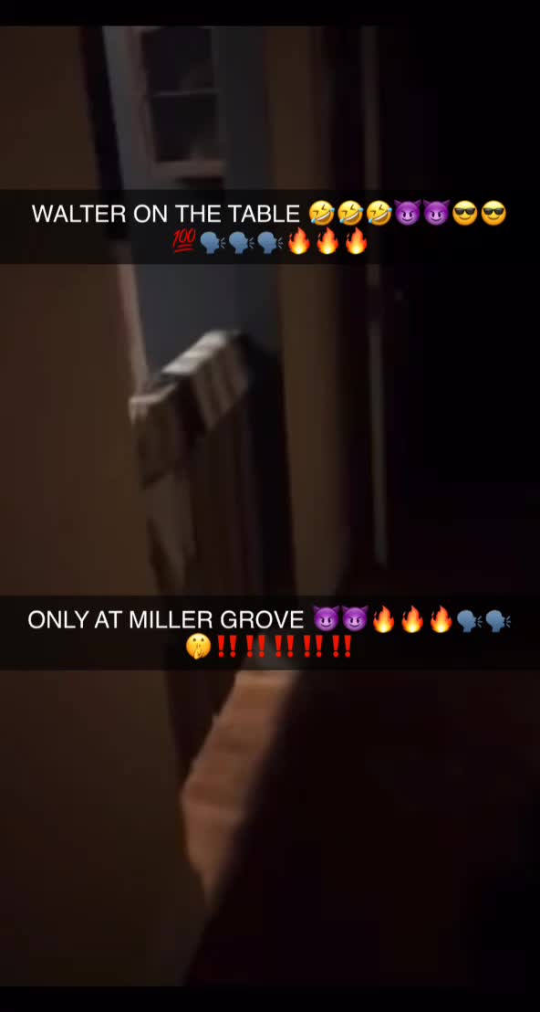 @WalterDog