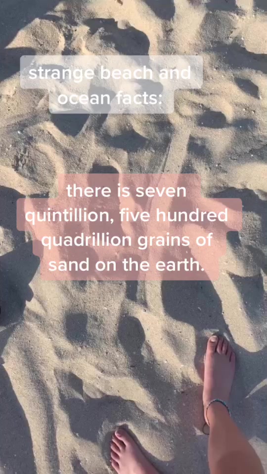 @ᓚᘏᗢ