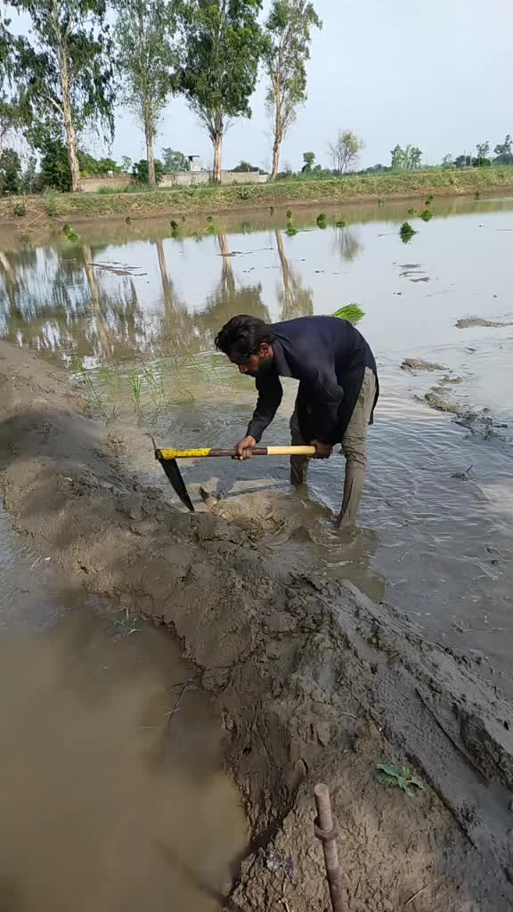 @Tera Raj