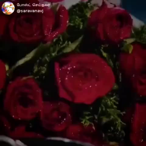 @884453